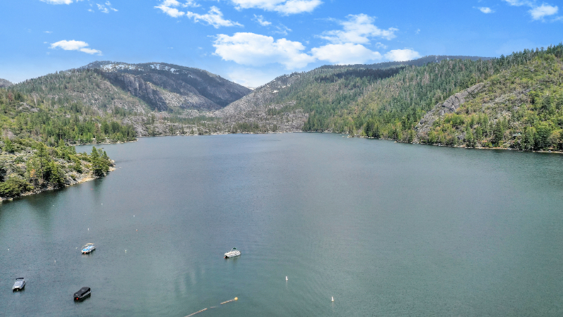 Pinecrest